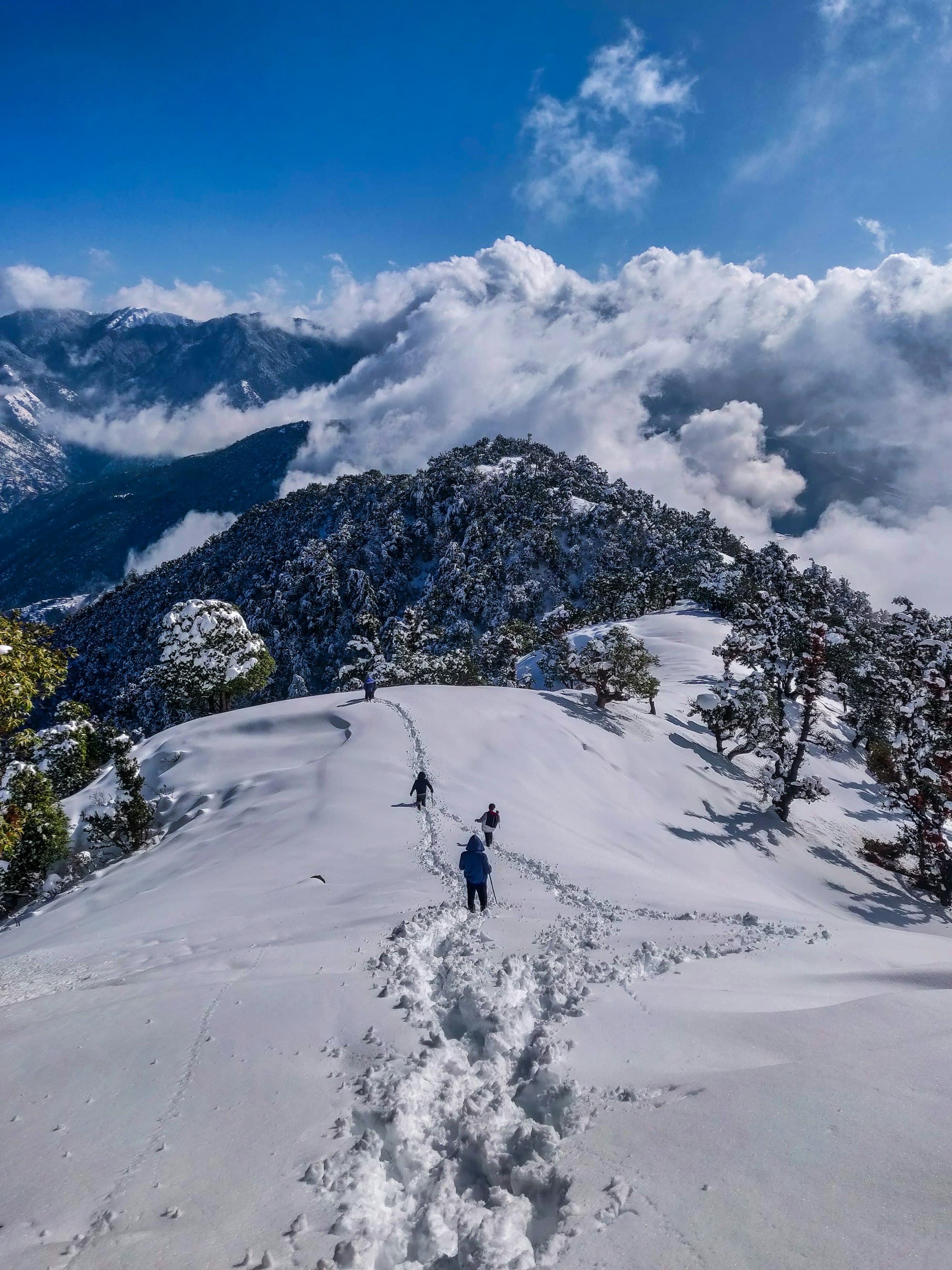 Himalayan valley and peaks