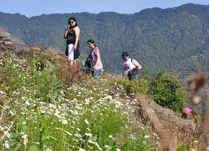 The Nag Tibba summit ridge with views of the Bandarpoonch and Swargarohini peaks