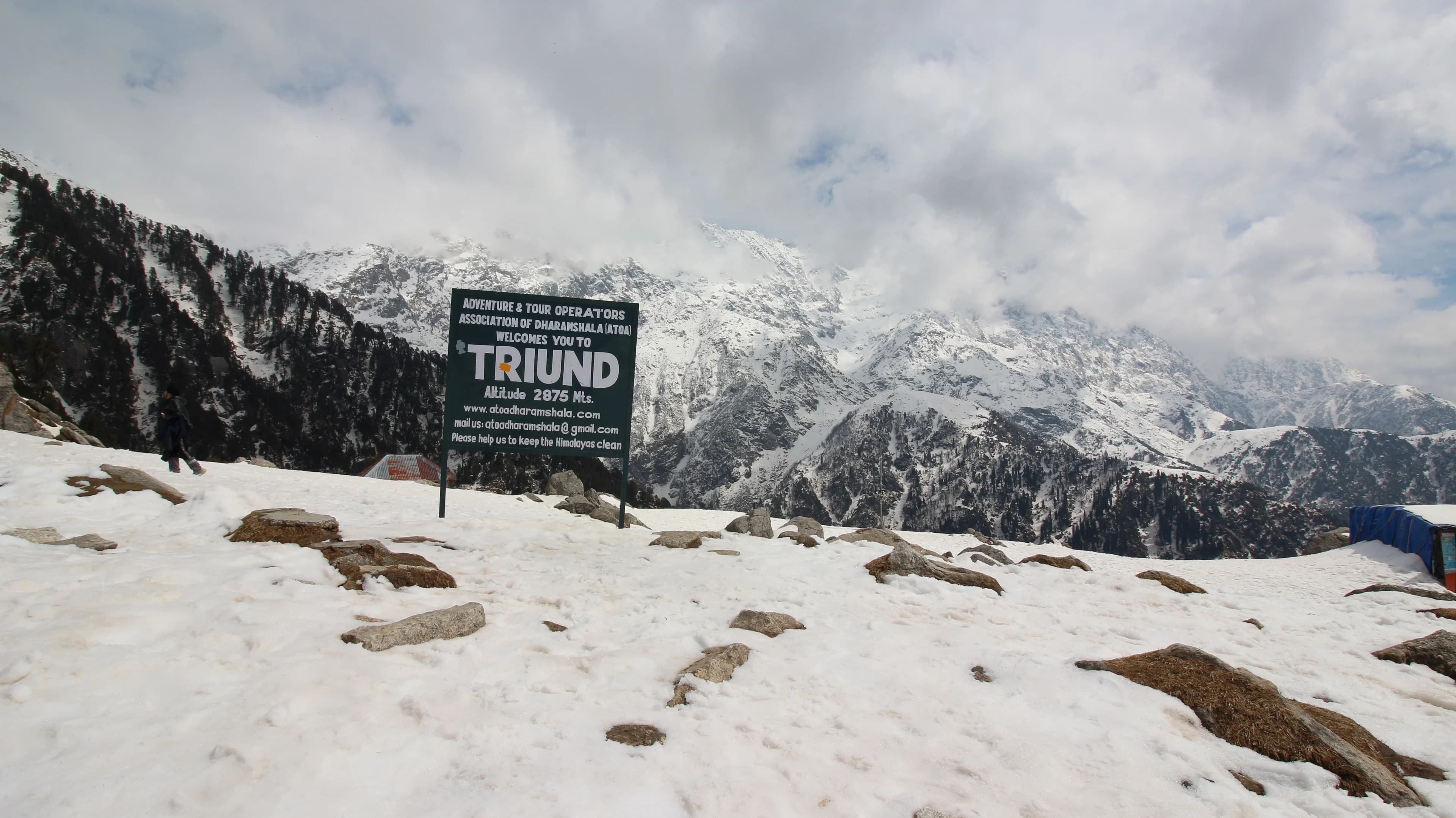 Triund Trek Guide: Difficulty, Timing and What It Actually Costs
